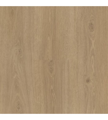 Vinyl Parador Classic 2030 Dub Studioline prírodná  štruktúra dreva 1601385 1207x216x9,6 mm