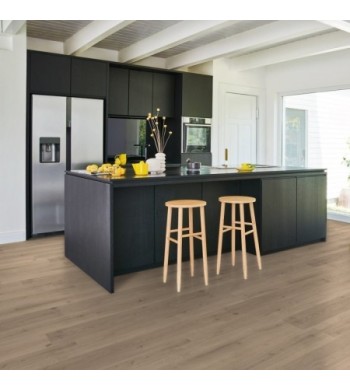 Parador Vinyl Basic 30 Dub Infinity sivá  živá štruktúra široká lamela, 1730635, 1207x216x9,4 mm