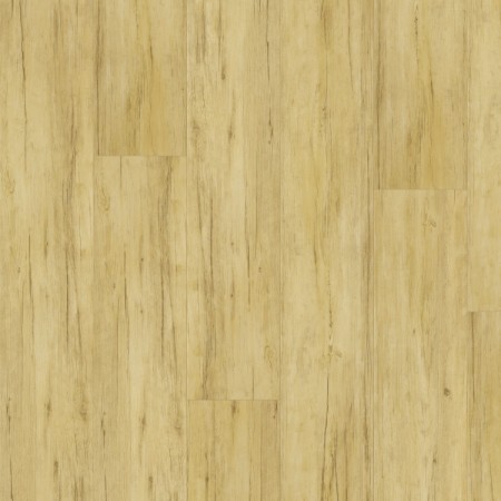 Vinylová podlaha Fatra Thermofix PRO Wood 2.0 Buk brazílský 14173-1.