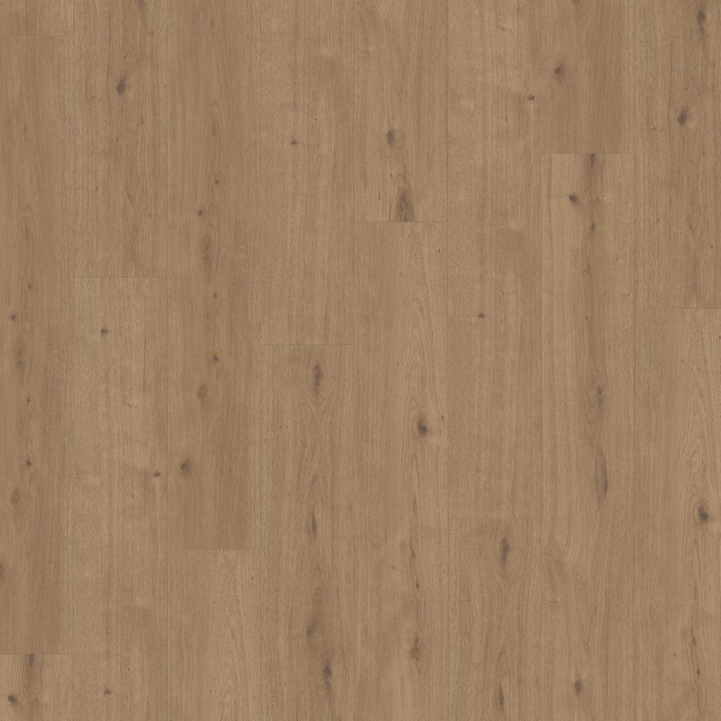 Parador Modular ONE M4V Dub Atmosphere umber P1744546