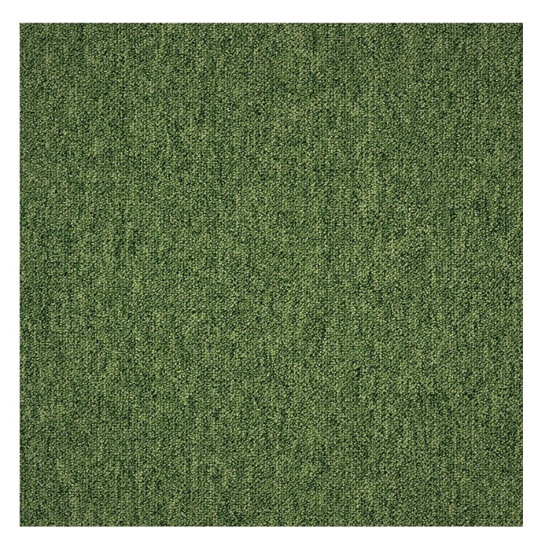 Coral 58376-50 zelený 50 x 50 cm