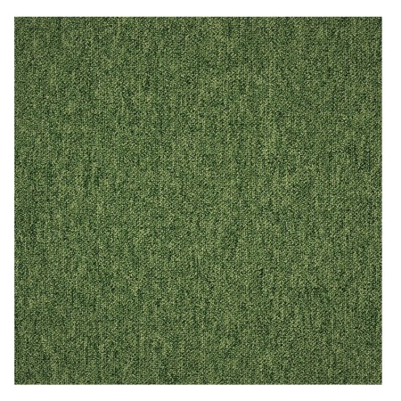 Coral 58376-50 zelený 50 x 50 cm