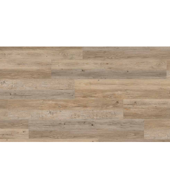 CREATION 40 CLIC ACOUSTIC 0455 LONG BOARD