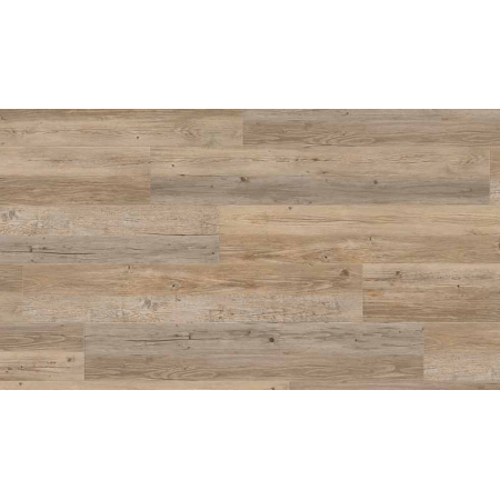 CREATION 40 CLIC ACOUSTIC 0455 LONG BOARD